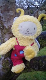 Bookbug in a tree