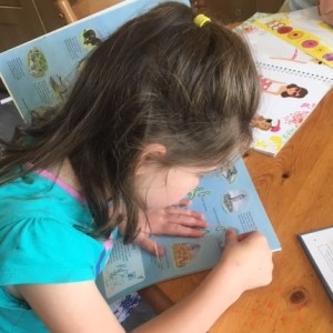 Sticker Book using
